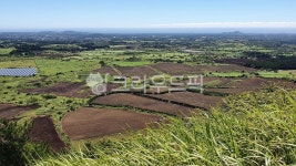 제주도, 하늘, 정상, 오름, 산, 사진,이미지,일러스트,캘리그라피 - Ncozy20작가 크라우드픽 - 저작권 걱정 없는 상업용 이미지