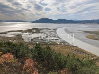 습지, 순천만, 바다, 갯벌, wetland, 사진,이미지,일러스트,캘리그라피 - bedro작가 크라우드픽 - 저작권 걱정 없는 상업용 이미지