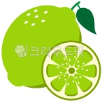 라임, 과일, 열매, fruit, 라임일러스트, 사진,이미지,일러스트,캘리그라피 - 물 결작가 크라우드픽 - 저작권 걱정 없는 상업용 이미지