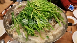 음식, spoon, food, 고수, cilantro, 사진,이미지,일러스트,캘리그라피 - dolob작가 크라우드픽 - 저작권 걱정 없는 상업용 이미지