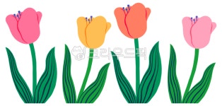 튤립, 디자인소스, 꽃, 꽃일러스트, floraldesign, 사진,이미지,일러스트,캘리그라피 - 낭낭이작가 크라우드픽 - 저작권 걱정 없는 상업용 이미지