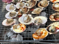 가리비, 조개구이, 철판구이, 조개요리, 해물, 사진,이미지,일러스트,캘리그라피 - 린다냥냥작가 크라우드픽 - 저작권 걱정 없는 상업용 이미지