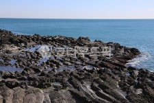 주상절리, 양남주상절리, 경주, 경주주상절리, 바다, 사진,이미지,일러스트,캘리그라피 - 늑돌이작가 크라우드픽 - 저작권 걱정 없는 상업용 이미지