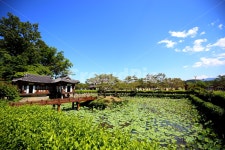 풍경, 연못, 푸른하늘, 한옥, 선교장, 사진,이미지,일러스트,캘리그라피 - 아빠정영화작가 크라우드픽 - 저작권 걱정 없는 상업용 이미지