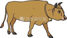 소, 황소, 한우, 가축, 축산, 사진,이미지,일러스트,캘리그라피 - 월붓작가 크라우드픽 - 저작권 걱정 없는 상업용 이미지
