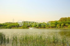 인천대공원, 공원, 숲, 호수, 물, 사진,이미지,일러스트,캘리그라피 - imlover작가 크라우드픽 - 저작권 걱정 없는 상업용 이미지