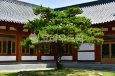 기와, 지붕, 담양창평슬로시티삼지내마을, 담양슬로시티삼지내마을, 창평슬로시티삼지내마을, 사진,이미지,일러스트,캘리그라피 - 영산공작가... 