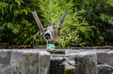 약수, 전통약수, 약수터, 정한수, 감성, 사진,이미지,일러스트,캘리그라피 - 봉구58작가 크라우드픽 - 저작권 걱정 없는 상업용 이미지