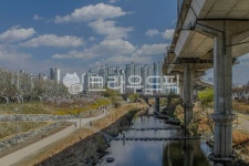 청계천, 산책, 산책로, 서울, 성동구, 사진,이미지,일러스트,캘리그라피 - imlover작가 크라우드픽 - 저작권 걱정 없는 상업용 이미지