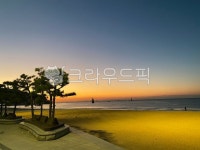 summer, tree, nature, sky, coast, 사진,이미지,일러스트,캘리그라피 - Woobro91작가 크라우드픽 - 저작권 걱정 없는 상업용 이미지