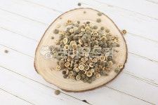 지실, 탱자나무, 탱자열매, 탱자나무열매, 열매, 사진,이미지,일러스트,캘리그라피 - 토토기작가 크라우드픽 - 저작권 걱정 없는 상업용 이미지