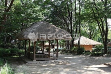 한국민속촌, 민속촌, 초가집, 집, 전통집, 사진,이미지,일러스트,캘리그라피 - youngwon작가 크라우드픽 - 저작권 걱정 없는 상업용 이미지