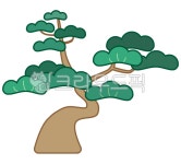 tree, 나무, 소나무, 한국, 전통, 사진,이미지,일러스트,캘리그라피 - cheese468작가 크라우드픽 - 저작권 걱정 없는 상업용 이미지