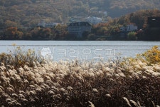 물, 갈대숲, 산, 자연, 강, 사진,이미지,일러스트,캘리그라피 - Nphseo59작가 크라우드픽 - 저작권 걱정 없는 상업용 이미지
