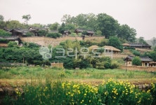 전통, 마을, 경주, 평화로운, village, 사진,이미지,일러스트,캘리그라피 - tmtmt작가 크라우드픽 - 저작권 걱정 없는 상업용 이미지