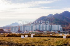 자연, nature, 옥외, outdoors, 아파트, 사진,이미지,일러스트,캘리그라피 - studio H작가 크라우드픽 - 저작권 걱정 없는 상업용 이미지