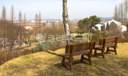 bench, 벤치, furniture, 가구, nature, 사진,이미지,일러스트,캘리그라피 - pixokorea작가 크라우드픽 - 저작권 걱정 없는 상업용 이미지