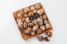 한방, 약재, 한약, 동양의학, 한의학, 사진,이미지,일러스트,캘리그라피 - 박프로 진Studio작가 크라우드픽 - 저작권 걱정 없는 상업용 이미지