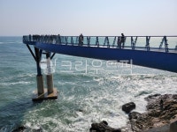 바다, 스카이워크, 전망대, 바다전망대, 바다배경, 사진,이미지,일러스트,캘리그라피 - Nhyeon2696작가 크라우드픽 - 저작권 걱정 없는 상업용... 