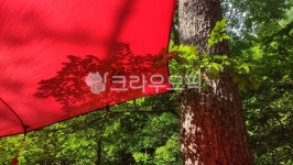 그늘, 타프, 야외, 캠핑, 그늘막, 사진,이미지,일러스트,캘리그라피 - Nkshint73작가 크라우드픽 - 저작권 걱정 없는 상업용 이미지