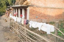 네팔, 담장, 빨래, 벽돌집, 강아지, 사진,이미지,일러스트,캘리그라피 - Nbeaglejinny작가 크라우드픽 - 저작권 걱정 없는 상업용 이미지