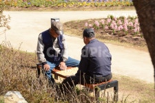 선암호수공원, 어르신, 봄, 장기, 한적한 사진, 이미지 - 깜아작가 가장 한국적인 스톡 사진 - 크라우드픽
