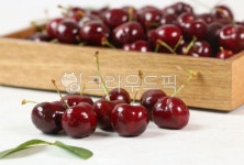 체리, 과일, cherry, fruit, 이국적과일, 사진,이미지,일러스트,캘리그라피 - 홍당이작가 크라우드픽 - 저작권 걱정 없는 상업용 이미지