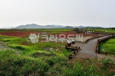 nature, 자연, outdoors, 옥외, 신안증도태평염전, 사진,이미지,일러스트,캘리그라피 - 영산공작가 크라우드픽 - 저작권 걱정 없는 상업용... 