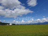 자연, nature, 목초지, 농장, 지평선, 사진,이미지,일러스트,캘리그라피 - 하늘바다다작가 크라우드픽 - 저작권 걱정 없는 상업용 이미지