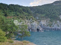 바다, 남해, 나무, 섬, 비렁, 사진,이미지,일러스트,캘리그라피 - 양파스토리작가 크라우드픽 - 저작권 걱정 없는 상업용 이미지