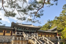 불국사, 경주불국사, 한옥, 한국양식, 한국문화, 사진,이미지,일러스트,캘리그라피 - chakku작가 크라우드픽 - 저작권 걱정 없는 상업용 이미지