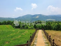 길, 대관령, 산, 하늘, 나무, 사진,이미지,일러스트,캘리그라피 - Ntnalsdl125작가 크라우드픽 - 저작권 걱정 없는 상업용 이미지