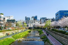 성북천, 물, 하천, 산책로, 도로, 사진,이미지,일러스트,캘리그라피 - imlover작가 크라우드픽 - 저작권 걱정 없는 상업용 이미지