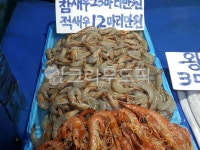 참새우, 적새우, 수산물, 생새우, shrimp, 사진,이미지,일러스트,캘리그라피 - 와촌농장작가 크라우드픽 - 저작권 걱정 없는 상업용 이미지