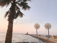 여름, summer, 제주도, 이호테우해변, 노을, 사진,이미지,일러스트,캘리그라피 - 케어베어작가 크라우드픽 - 저작권 걱정 없는 상업용 이미지