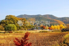 경북, 안동, 하회마을, 마을, 경상북도, 사진,이미지,일러스트,캘리그라피 - imlover작가 크라우드픽 - 저작권 걱정 없는 상업용 이미지
