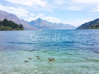 뉴질랜드, 뉴질랜드남섬, 호수, 외국, 이국적인, 사진,이미지,일러스트,캘리그라피 - soh105작가 크라우드픽 - 저작권 걱정 없는 상업용 이미지