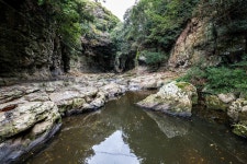 안덕계곡, 계곡, 제주도, 풍경, landscape, 사진,이미지,일러스트,캘리그라피 - 라파엘작가 크라우드픽 - 저작권 걱정 없는 상업용 이미지