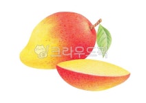 일러스트, 색연필화, 색연필, 그림, 드로잉, 사진,이미지,일러스트,캘리그라피 - 유자디자인작가 크라우드픽 - 저작권 걱정 없는 상업용 이미지