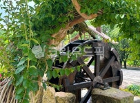 물레방아, 넝굴나무, 옥외, 자연, 정원, 사진,이미지,일러스트,캘리그라피 - ssywater102작가 크라우드픽 - 저작권 걱정 없는 상업용 이미지