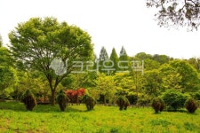 인천대공원, 공원, 수목원, 숲, 목초지, 사진,이미지,일러스트,캘리그라피 - imlover작가 크라우드픽 - 저작권 걱정 없는 상업용 이미지