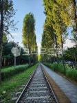 도로, 철도, train, 기찻길, road, 사진,이미지,일러스트,캘리그라피 - 슷으로작가 크라우드픽 - 저작권 걱정 없는 상업용 이미지