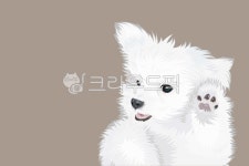 강아지, 말티즈, 하얀강아지, 강아지그림, 강아지일러스트, 사진,이미지,일러스트,캘리그라피 - 푸른보물섬작가 크라우드픽 - 저작권 걱정 없는... 