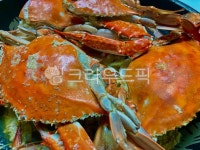 crab, 게, 해물, 게찜, 꽃게, 사진,이미지,일러스트,캘리그라피 - 보통작가작가 크라우드픽 - 저작권 걱정 없는 상업용 이미지