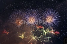 여의도불꽃축제, 불꽃축제, 불꽃놀이, 불꽃, 폭죽, 사진,이미지,일러스트,캘리그라피 - Jaylee102작가 크라우드픽 - 저작권 걱정 없는 상업용... 