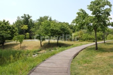 북서울꿈의숲, 공원, 한국, 서울, 정원, 사진,이미지,일러스트,캘리그라피 - binimin작가 크라우드픽 - 저작권 걱정 없는 상업용 이미지