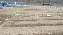 텃밭, 옥상텃밭, 미니텃밭, 식물키우기, 농장, 사진,이미지,일러스트,캘리그라피 - 마이네랄작가 크라우드픽 - 저작권 걱정 없는 상업용 이미지