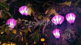 등불, 보라색등, 전등, 베트남, 배경화면, 사진,이미지,일러스트,캘리그라피 - 어진작가 크라우드픽 - 저작권 걱정 없는 상업용 이미지