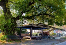 쉼터, 정자, 자연, nature, 옥외, 사진,이미지,일러스트,캘리그라피 - 으치리작가 크라우드픽 - 저작권 걱정 없는 상업용 이미지