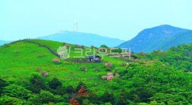 대피소, 계단, 길, 소백산, 하늘, 사진,이미지,일러스트,캘리그라피 - 가는세월작가 크라우드픽 - 저작권 걱정 없는 상업용 이미지